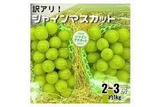 ＜訳あり＞シャインマスカット2～3房　約1kg【1454125】