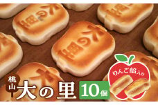 大の里(オオノサト)10個入り【1515028】
