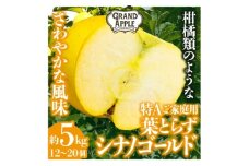 シナノゴールド　特Aご家庭用　約5kg(12～20個)【1552609】