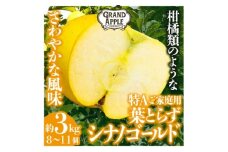 シナノゴールド　特Aご家庭用　約3kg(8～11個)【1552616】