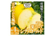 シナノゴールド　訳あり　約4kg(10～20個)【1552668】