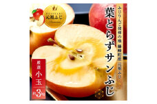 ＜2025年1月下旬～発送＞葉とらずサンふじ 厳選小玉 約3kg ご家庭用(訳あり) 青森林檎【1558471】