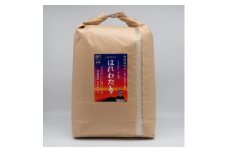 青森県産 ＜ナリミツ農園＞特栽はれわたり　白米10kg【1565538】