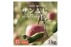 ＜産地直送＞サンふじ 家庭用 3kg(7～10個)【1663938】