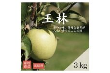 ＜産地直送＞王林 家庭用 3kg(7～10個)【1663940】
