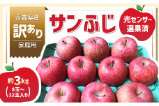 青森県産「サンふじ」家庭用　訳あり 光センサー選果済　約3kg【1635391】