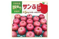 青森県産「サンふじ」家庭用　訳あり 光センサー選果済　約5kg【1635392】