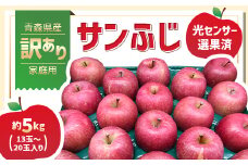 青森県産「サンふじ」家庭用　訳あり 光センサー選果済　約5kg【1635392】