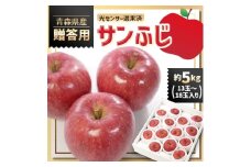 青森県産りんご「サンふじ」贈答用　約5kg【1635386】