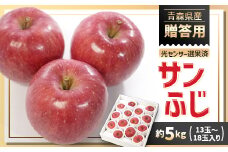 青森県産りんご「サンふじ」贈答用　約5kg【1635386】