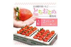 田舎館村産いちご とちおとめ＜大粒＞ 贈答用【1637919】