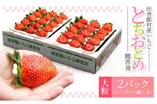 田舎館村産いちご とちおとめ＜大粒＞ 贈答用【1637919】