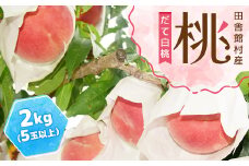 田舎館村産　桃(だて白桃)2kg【1647699】
