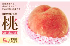 田舎館村産　桃(川中島白桃)2kg【1647961】