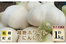 サイズ混合にんにく約1kg（8～15玉程度）