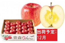 12月 特A 蜜入り サンふじ 約5kg 糖度13度以上【青森りんご・マルコウアップル】