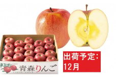 12月 訳あり 家庭用 蜜入りサンふじ 約5kg【青森りんご・マルコウアップル】