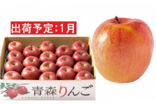 1月  家庭用濃厚サンふじ約5kg　糖度13度以上【訳あり】青森津軽りんご