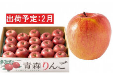 2月 訳あり 家庭用 濃厚サンふじ 約5kg 糖度13度以上【青森りんご・マルコウアップル】