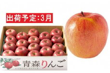 3月 訳あり 家庭用 濃厚サンふじ 約5kg 糖度13度以上【青森りんご・マルコウアップル】