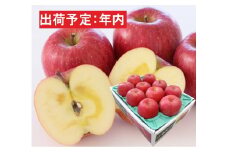 年内 贈答規格 蜜入り サンふじ 約3kg（特A）【12月・青森りんご・JA津軽みらい(板柳）】