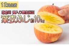年内 蜜入り糖度保証 葉衣ふじ 約10kg 家庭用【12月・青森りんご・葉取らず・JA津軽みらい(板柳）】