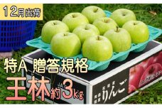 年内 贈答規格 王林 約3kg（特A）【12月・青森りんご・JA津軽みらい(板柳）】