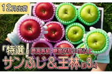 年内 最高等級 「特選」サンふじ＆王林 約3kg 糖度保証13度以上・キャップ 【12月・青森りんご・JA津軽みらい(板柳）】