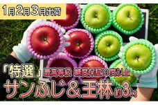年明け 最高等級 「特選」サンふじ＆王林 約3kg 糖度保証13度以上・キャップ 【1月・2月・3月・青森りんご・JA津軽みらい(板柳）】