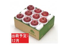 	12月 最高等級「特選」「完熟」りんご サンふじ 約3kg RW-F506 【青森りんご・板柳町りんごワーク】