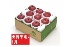 年明け1月 最高等級「特選」「完熟」りんご サンふじ 約3kg RW-F506 【青森りんご・板柳町りんごワーク】