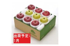年明け1月 最高等級「特選」「完熟」りんご サンふじ＆王林 約3kg RW-FO506 【青森りんご・板柳町りんごワーク】