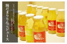 【発送:2024年11月25日～順次お届け】山善 齊藤農園　12種類の陽だまりりんごジュース12本セット（各180ml）