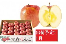 1月 訳あり  家庭用蜜入りサンふじ 約5kg 【青森りんご・マルコウアップル】