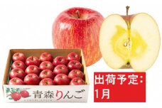 1月  特A 蜜入りサンふじ 約5kg　糖度13度以上 【青森りんご・マルコウアップル】