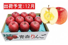 12月  特A 蜜入りサンふじ約3kg　糖度13度以上 【青森りんご・マルコウアップル】