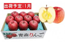 1月  特A 蜜入りサンふじ約3kg　糖度13度以上 【青森りんご・マルコウアップル】