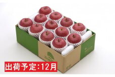 12月 最高等級「特選」「完熟」りんご　サンふじ約4kg　RW-F616 【青森りんご・板柳町りんごワーク】