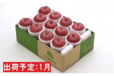 年明け1月 最高等級「特選」「完熟」りんご　サンふじ約4kg　RW-F616 【青森りんご・板柳町りんごワーク】