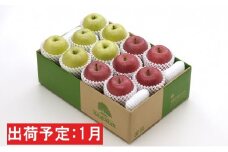 年明け1月 最高等級「特選」「完熟」りんご　サンふじ＆王林約4kg　RW-FO616 【青森りんご・板柳町りんごワーク】