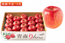 1月  特A 濃厚サンふじ約5kg　糖度13度以上【青森りんご・マルコウアップル】