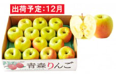 12月  贈答規格 ぐんま名月約5kg　糖度13度以上【青森りんご・マルコウアップル】
