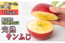 11月 贈答規格 完熟サンふじ約5kg（12～18個）13度糖度保証【青森りんご・ゆうきアップル・11月】 果物類 果物 フルーツ ジューシー 代表品種 