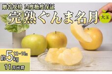 11月 贈答規格 完熟大玉ぐんま名月約5kg（12～16個）14度糖度保証【青森りんご・ゆうきアップル・11月】 果物類 果物 フルーツ ジューシー 