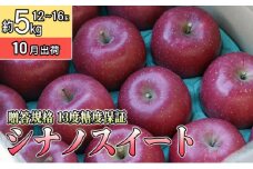 10月 贈答規格 シナノスイート約5kg（12～16個）13度糖度保証【青森りんご・ゆうきアップル・10月】 果物類 果物 フルーツ ジューシー 甘い 