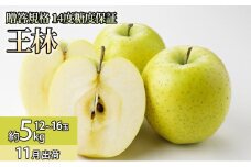 11月 贈答規格 王林約5kg（12～16個）14度糖度保証【青森りんご・ゆうきアップル・11月】 果物類 果物 フルーツ 代表品種 甘み 