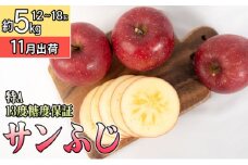 11月 特A 完熟 サンふじ約5kg（12～18個）13度糖度保証【青森りんご・ゆうきアップル・11月】 果物類 フルーツ 果物 ジューシー 代表品種 