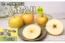 11月 特A ぐんま名月約5kg（12～18個）14度糖度保証【青森りんご・ゆうきアップル・11月】 果物類 フルーツ 果物 