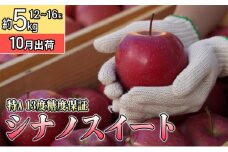 10月 特Aシナノスイート約5kg（12～16個）13度糖度保証【青森りんご・ゆうきアップル・10月】 果物類 フルーツ 果物 ジューシー 
