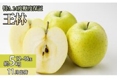 11月 特A王林約5kg（12～16個）14度糖度保証【青森りんご・ゆうきアップル・11月】 果物類 フルーツ 果物 代表品種 